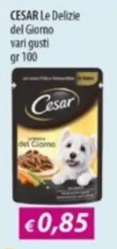 Acqua & Sapone CESAR Le Delizie del Giorno offerta