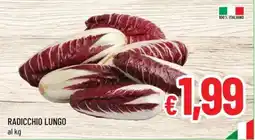 A&O Radicchio lungo offerta
