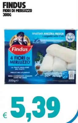 Eté Findus fiori di merluzzo offerta