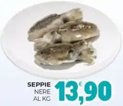 Eté Seppie nere offerta