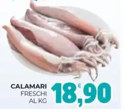 Eté Calamari freschi offerta