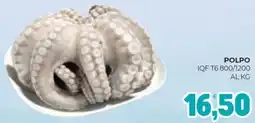 Eté Polpo IQF T6 800/1200 offerta
