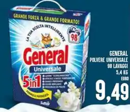 Al Discount General polvere universale offerta