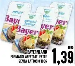 Al Discount Bayernland formaggi affettati fette senza lattosio offerta