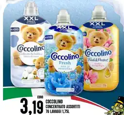 Al Discount Coccolino concentrato offerta