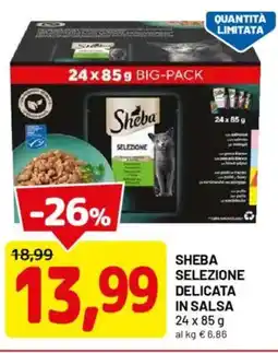 DPiù Sheba selezione delicata in salsa offerta