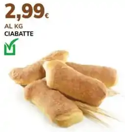 Basko Ciabatte offerta
