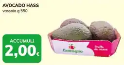 Basko Avocado hass offerta