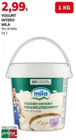 Basko Yogurt intero MILA offerta