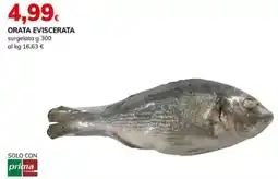 Basko Orata eviscerata offerta