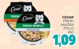 Eté Cesar fresh anatra pollo offerta