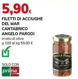 Basko Filetti di acciughe del mar cantabrico ANGELO PARODI offerta