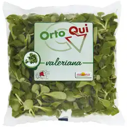 Ipercoop VALERIANA LOMBARDIA ORTO QUI offerta