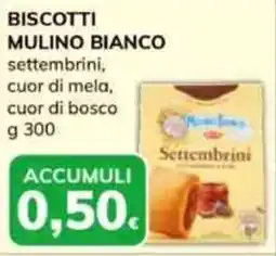 Basko Biscotti MULINO BIANCO offerta