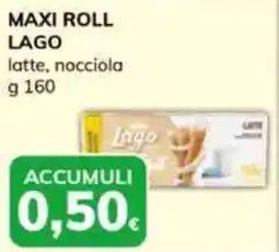 Basko Maxi roll LAGO offerta