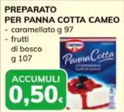 Basko Preparato per panna cotta CAMEO offerta