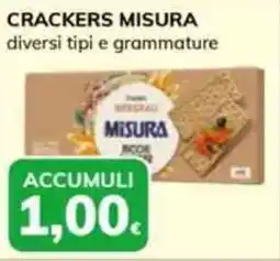 Basko Crackers MISURA offerta