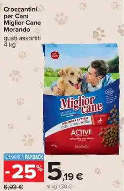 Carrefour Croccantini per Cani Miglior Cane Morando offerta