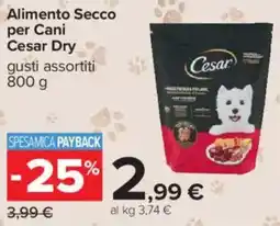 Carrefour Alimento Secco per Cani Cesar Dry offerta