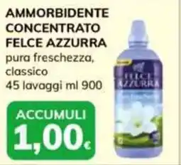 Basko Ammorbidente concentrato FELCE AZZURRA offerta