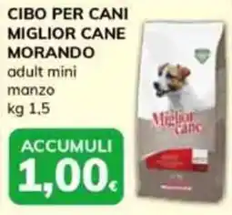 Basko Cibo per cani miglior cane MORANDO offerta