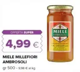 Oasi Miele millefiori AMBROSOLI offerta