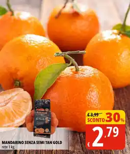 Tigros Mandarino senza semi tan gold offerta