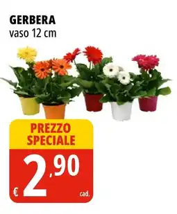 Tigros Gerbera vaso 12 cm offerta