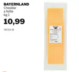 GrosMarket BAYERNLAND Cheddar a fette offerta