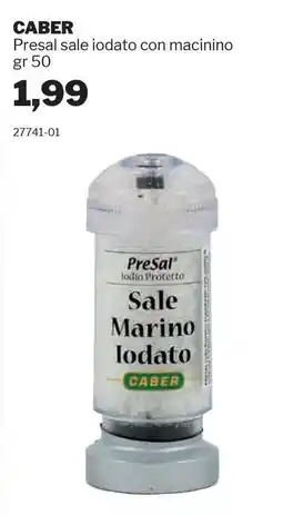 GrosMarket CABER Presal sale iodato con macinino offerta