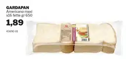 GrosMarket GARDAPAN Americano maxi x16 fette offerta
