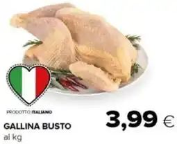 Oasi Gallina busto offerta