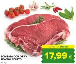 Oasi Lombata con osso bovino adulto offerta
