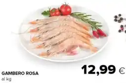 Oasi Gambero rosa offerta