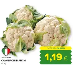 Tigre Cavolfiori bianchi offerta
