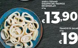 Bennet Anelli totano gigante del pacifico decongelati offerta