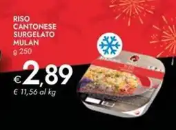 Bennet Riso cantonese surgelato MULAN offerta