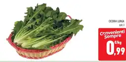 Conad Superstore Cicoria lunga offerta