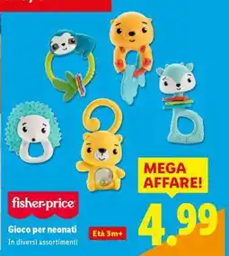 Lidl Gioco per neonati offerta