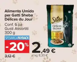 Carrefour ALIMENTO UMIDO PER GATTI SHEBA DÉLICES DU JOUR offerta
