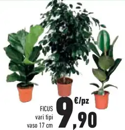Conad Superstore Ficus offerta