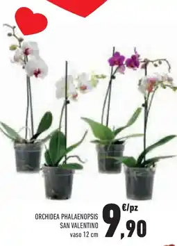 Conad Superstore Orchidea phalaenopsis SAN VALENTINO offerta