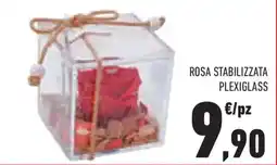 Conad Superstore Rosa stabilizzata PLEXIGLASS offerta