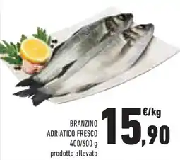 Conad Superstore Branzino adriatico fresco offerta