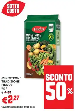 Panorama Minestrone tradizione FINDUS offerta