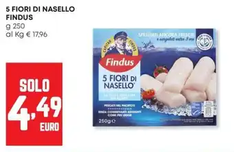 Panorama 5 fiori di nasello FINDUS offerta