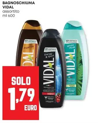 Panorama Bagnoschiuma VIDAL offerta