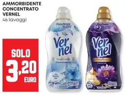 Panorama Ammorbidente concentrato VERNEL offerta