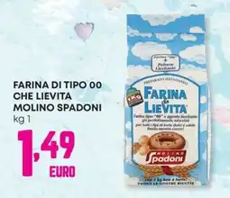 Panorama Farina di tipo 00 che lievita molino SPADONI offerta