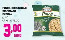 Panorama Pinoli sgusciati siberiani FATINA offerta